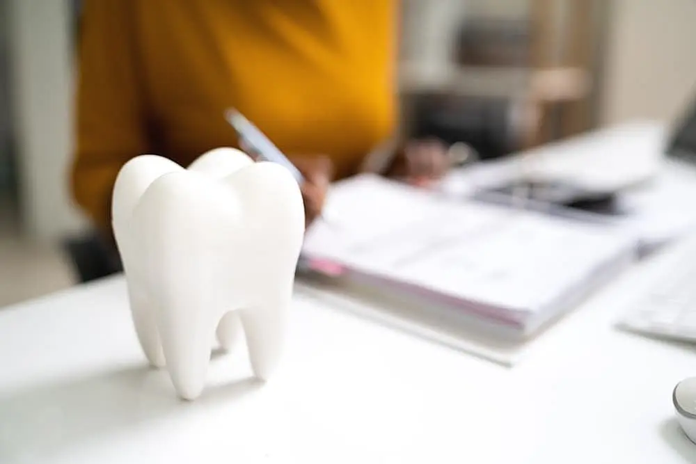 White teeth figures on top of the table at Gramercy Orthodontics