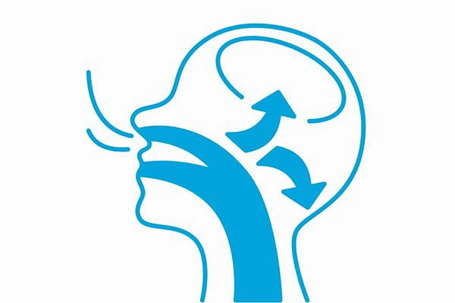 Illustration of a side profile showing mouth breathing airflow through nasal and oral passages towards the brain, indicated by arrows for an orthodontist in NYC