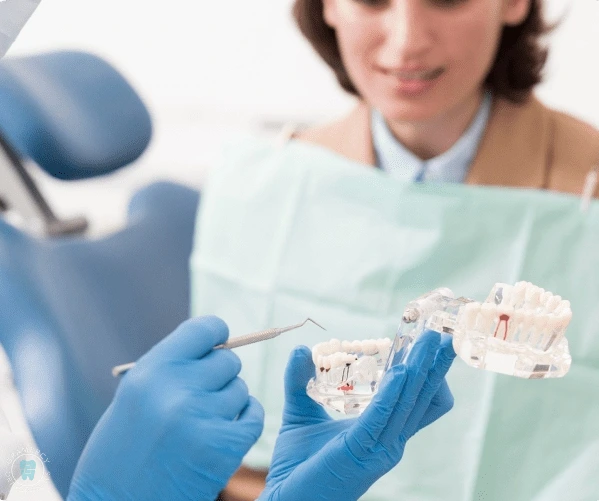 A dentist wearing blue gloves uses a dental tool to demonstrate jaw surgery with a model of teeth, explaining the procedure clearly to a person seated in the dental chair in NYC